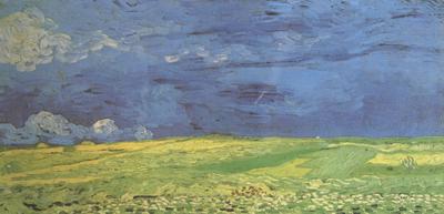 Vincent Van Gogh Wheat Field under Clouded Sky (nn04)